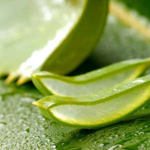 Sirop aloe vera