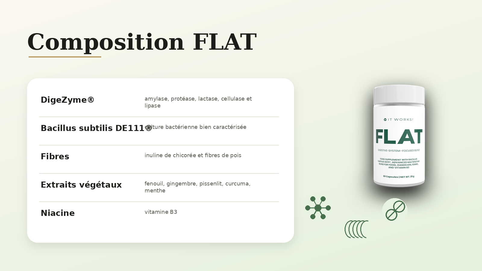 Composition de FLAT It Works avec enzymes probiotiques fibres et extraits botaniques