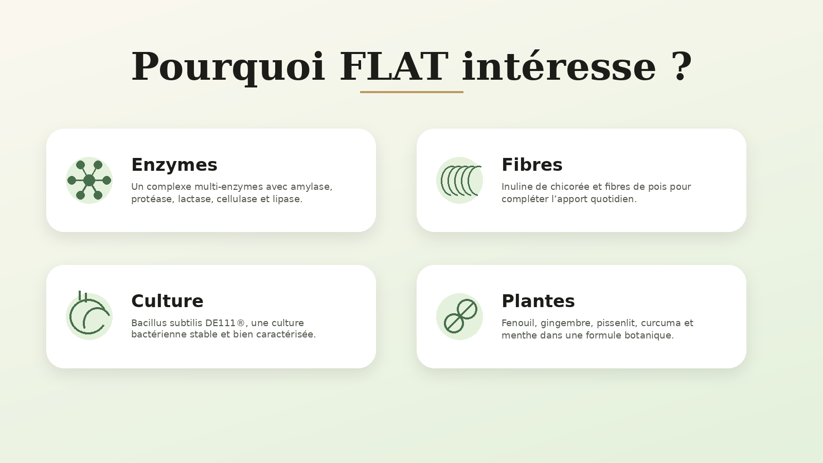 FLAT It Works avec enzymes digestives fibres culture bactérienne et plantes