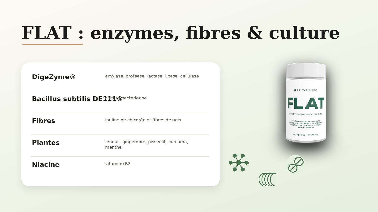 Composition de FLAT It Works avec enzymes probiotiques fibres et extraits botaniques