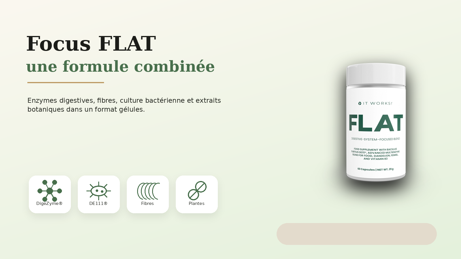 FLAT It Works formule avec probiotiques enzymes digestives fibres et plantes