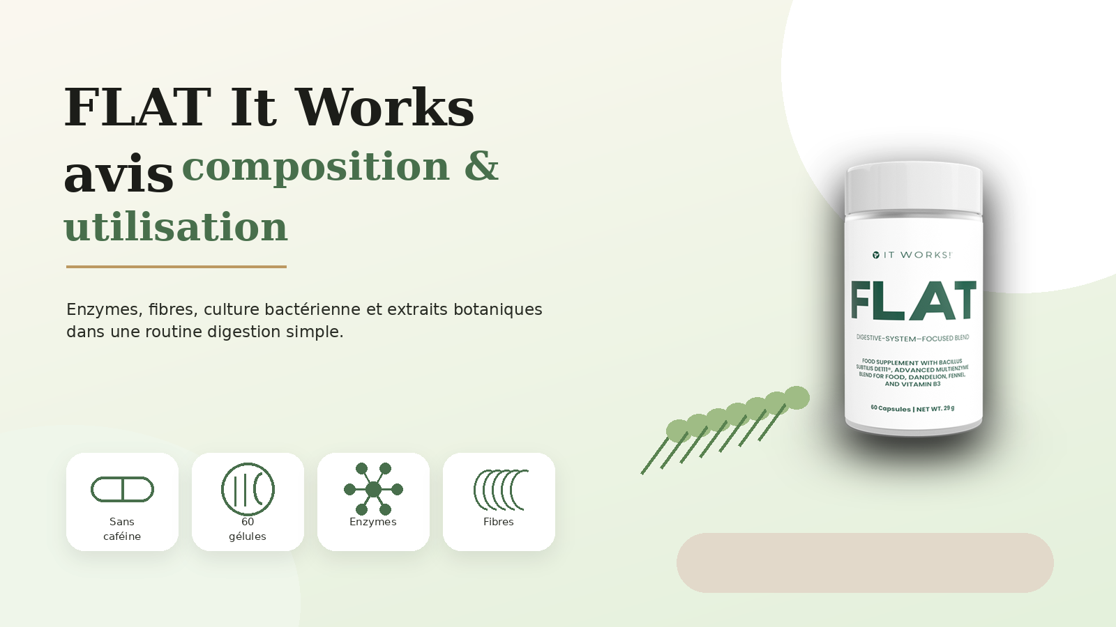 FLAT It Works avis composition et utilisation avec enzymes fibres et probiotiques