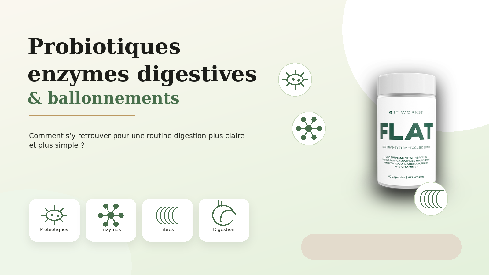Probiotiques enzymes digestives et ballonnements guide digestion avec FLAT